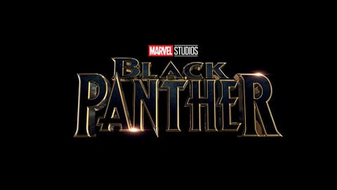 Image for Sterling K. Brown Signs on to Marvel’s ‘Black Panther’