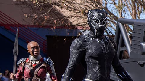 Image for Black Panther Now Appearing at Disney California Adventure Park