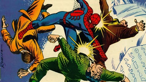 Image for The History of Spider-Man: 1969