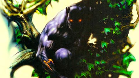 Image for Follow the History of the Black Panther Pt. 27