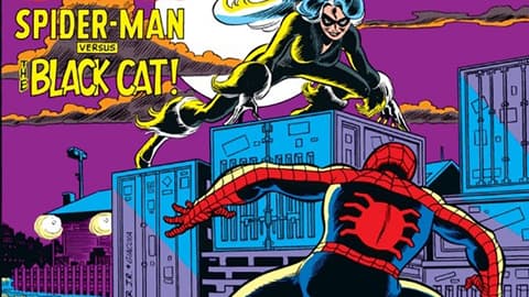 Image for The History of Spider-Man: 1982