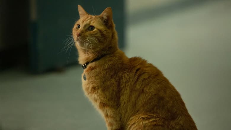 captain marvel goose stuffed animal