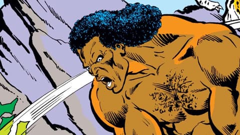 Image for The Villains of Black Panther