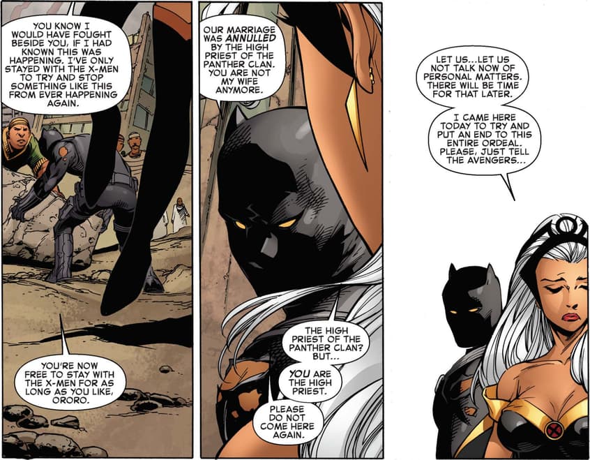 black-panther-storm.jpg