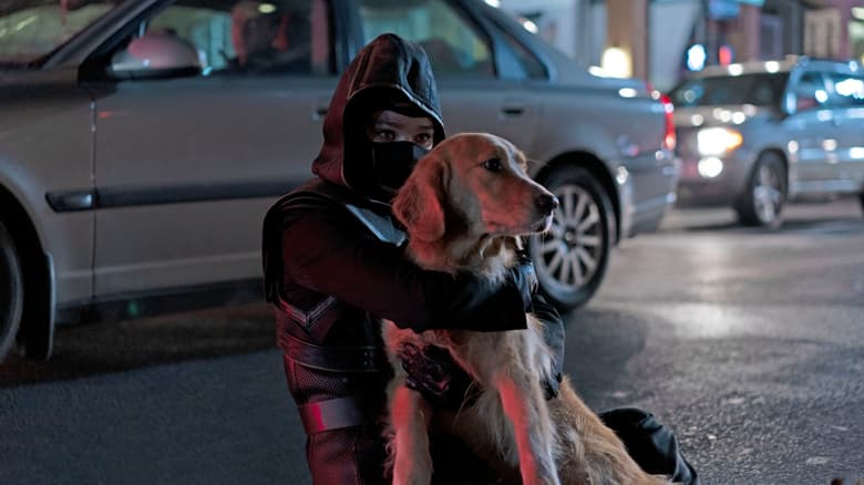 'Hawkeye': Meet Pizza Dog - Vimarsana News