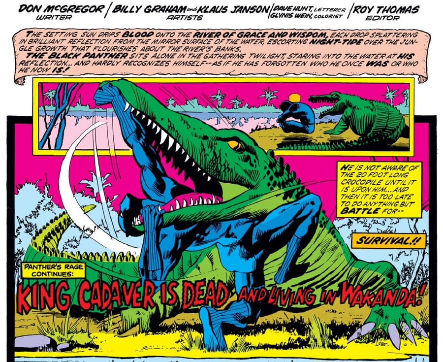 JUNGLE ACTION #10 by Don McGregor, Billy Graham, and Klaus Janson.